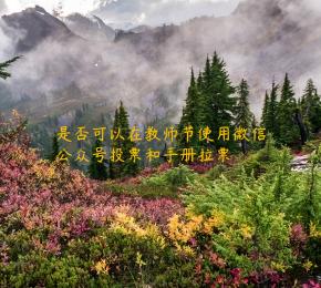 是否可以在教师节使用微信公众号投票和手册拉票