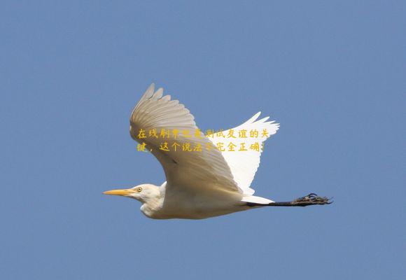 在线刷票也是测试友谊的关键，这个说法不完全正确！