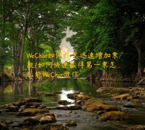 WeChat如何投票迅速增加票数/如何快速赢得第一票怎么能WeChat微信