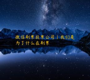 微信刷票投票公司|我们是为了什么在刷票