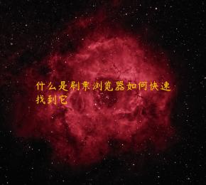 什么是刷票浏览器如何快速找到它