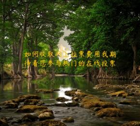 如何收取网上拉票费用我期待着您参与热门的在线投票。