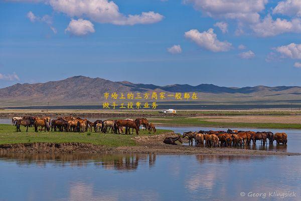 市场上的三方商家一般都在做手工投票业务