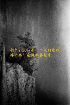 刷票：2017年“十大特色旅游产品”在浦北县投票