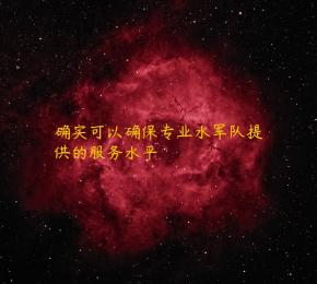 确实可以确保专业水军队提供的服务水平