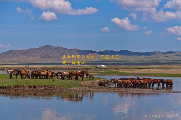 选择刷票公司时，你应该正确了解情况