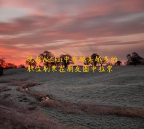 现在WeChat中有越来越多的职位刷票在朋友圈中拉票