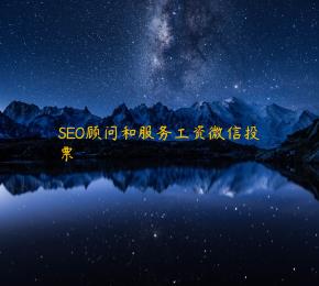 SEO顾问和服务工资微信投票