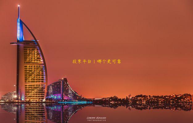 投票平台|哪个更可靠