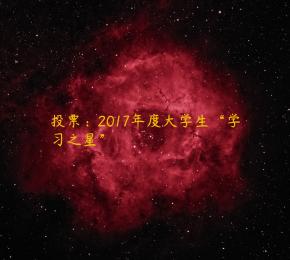 投票：2017年度大学生“学习之星”