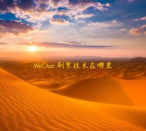 WeChat 刷票技术在哪里