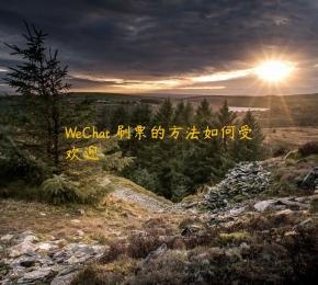 WeChat 刷票的方法如何受欢迎